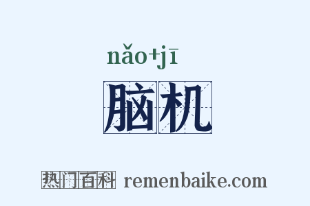 脑机是什么意思的图片